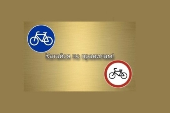 Госавтоинспекция предупреждает велосипедистов о необходимости строгого соблюдения Правил дорожного движения.